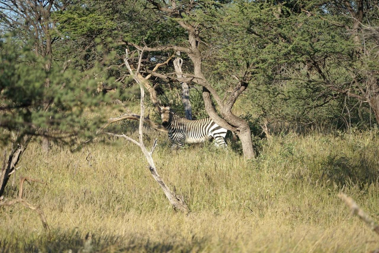 Roidina Safari Lodge Omaruru Exterior photo