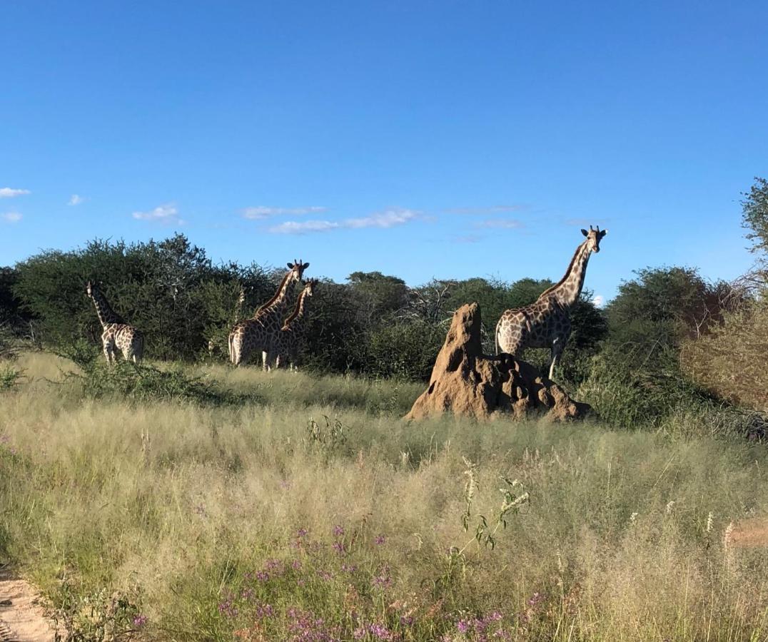 Roidina Safari Lodge Omaruru Exterior photo
