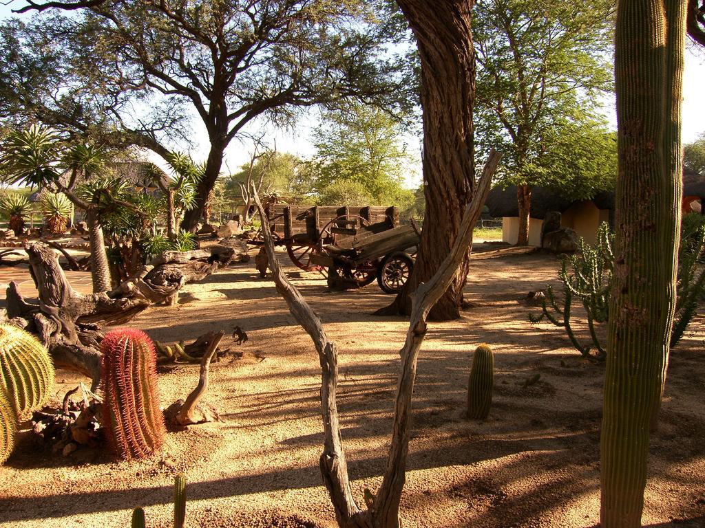 Roidina Safari Lodge Omaruru Exterior photo